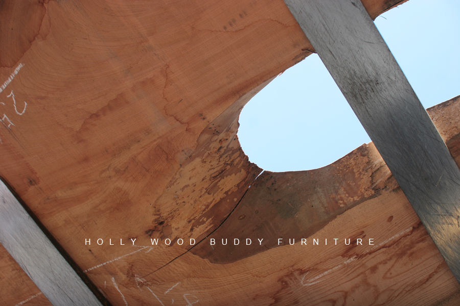 holly wood buddy web site holly wood buddy web site